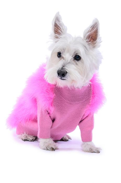QUINN FEATHER DOGGY SWEATER IN PINK