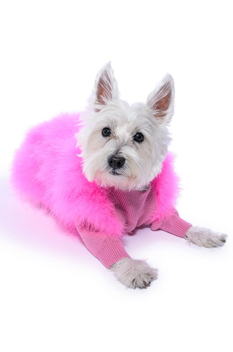 QUINN FEATHER DOGGY SWEATER IN PINK