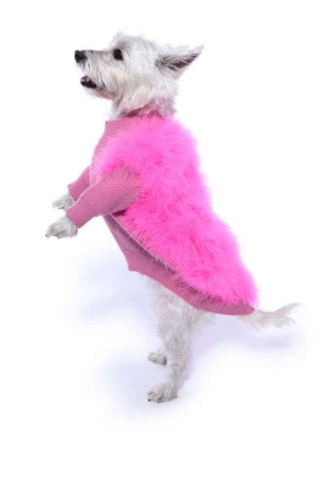 QUINN FEATHER DOGGY SWEATER IN PINK