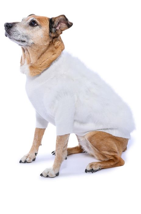 QUINN FEATHER DOGGY SWEATER IN WHITE