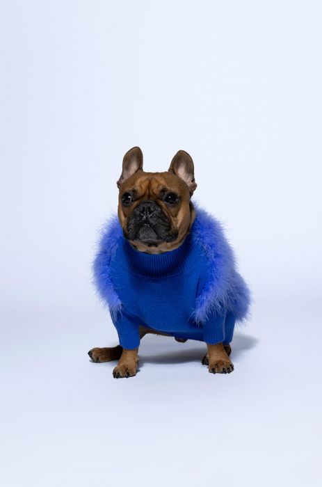 QUINN FEATHER DOGGY SWEATER in PURPLE