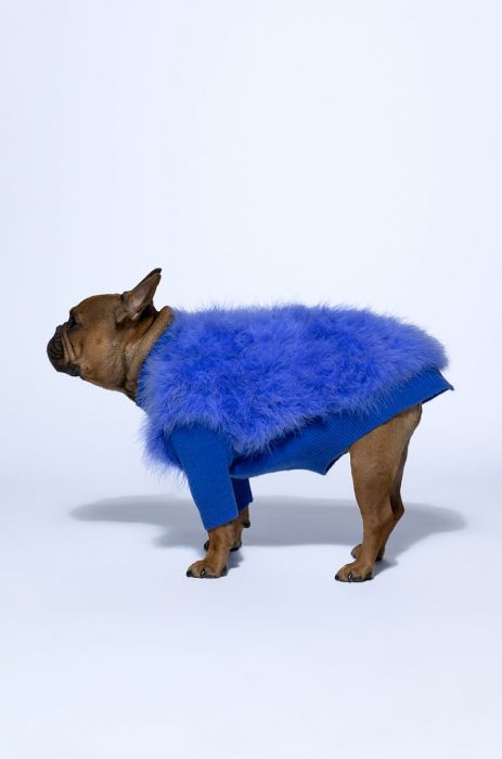 QUINN FEATHER DOGGY SWEATER in PURPLE