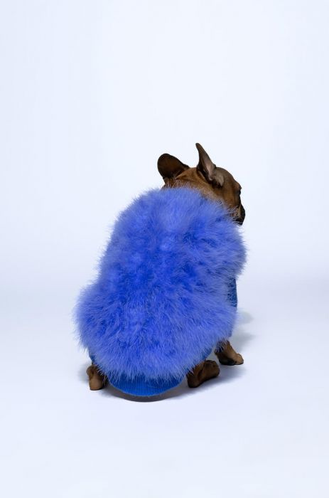 QUINN FEATHER DOGGY SWEATER in PURPLE