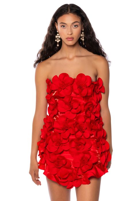 SHES A MASTERPIECE FLORAL MINI DRESS IN RED
